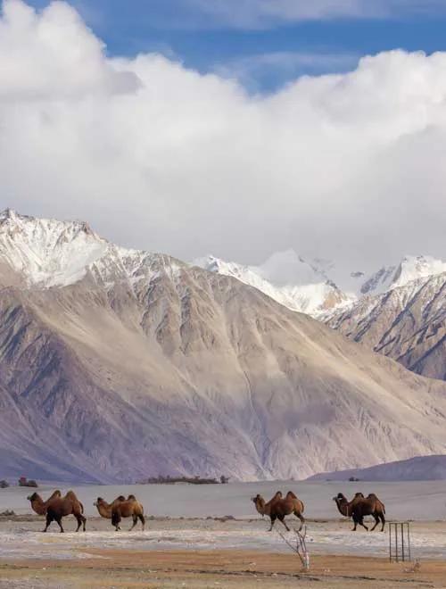 Ladakh Adventure Expedition