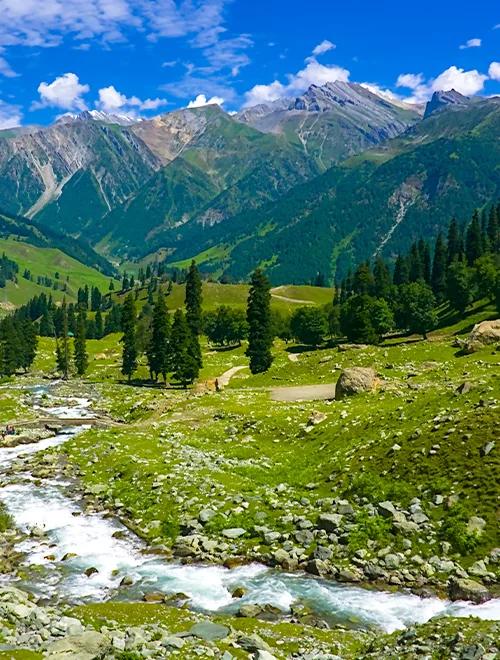 Kashmir Summer Escape