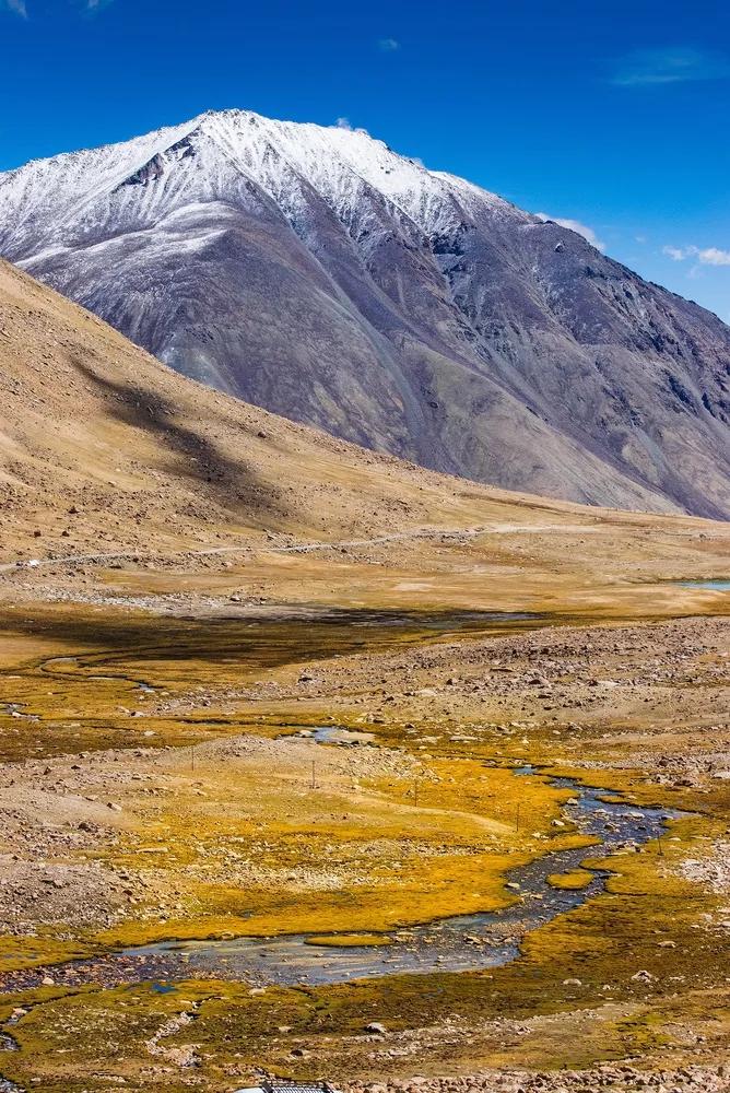 Ladakh Excursion