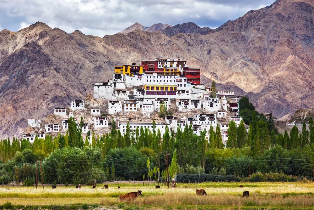 Ladakh Biking Expedition