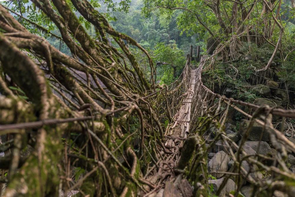 Meghalaya Discovery Circuit
