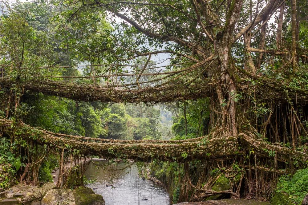 Meghalaya Discovery Circuit