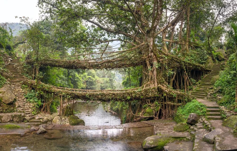 Cherrapunji — Meghalaya Discovery Circuit